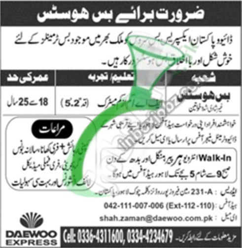 Daewoo Express Jobs
